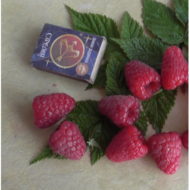 Малина Барон (р9)