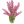Вересковые (вереск, рододендроны) 1